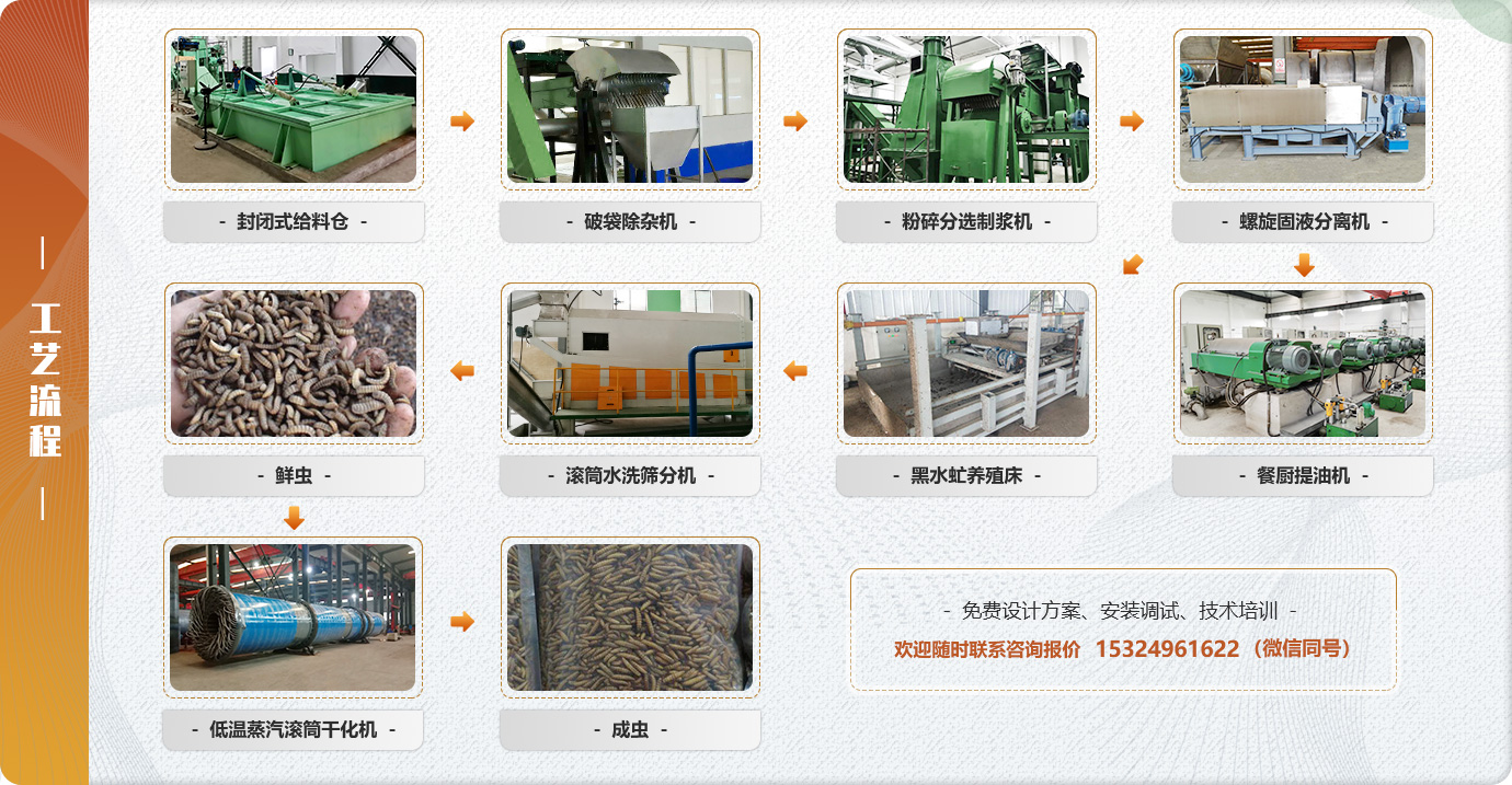 餐廚垃圾黑水虻生產(chǎn)線